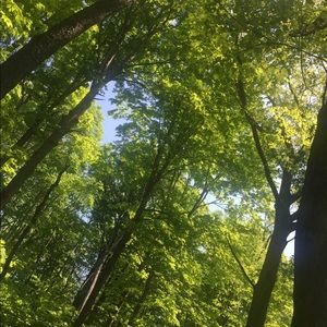 Meet your Posher, Tadow